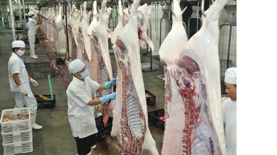 Vận động doanh nghiệp khẩn cấp “tích trữ” thịt heo ảnh 1