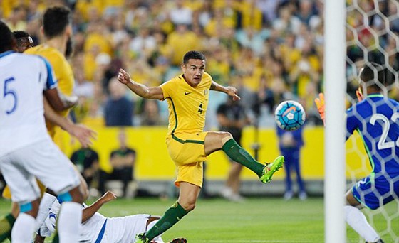 Australia đoạt vé dự VCK World Cup 2018 ảnh 1