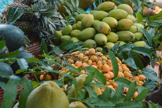 Liên hoan Ẩm thực Đất phương Nam ảnh 3