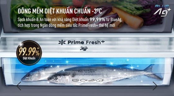 Chị em 'nhàn' nhờ chọn tủ lạnh đông mềm chuẩn ảnh 2
