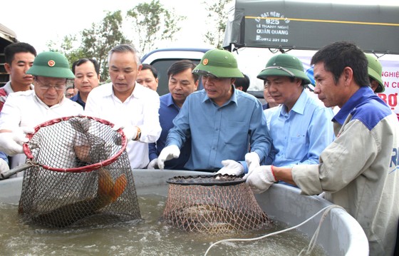 Miền Trung tái sản xuất sau lũ ảnh 7