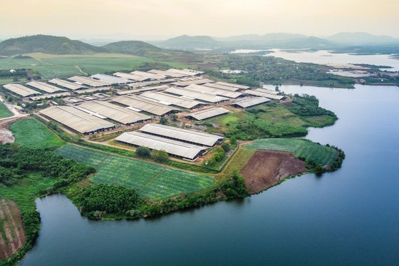TH true MILK đạt giải Vàng Chất lượng quốc gia 2019 - 2020 ảnh 2