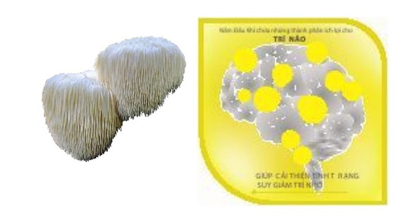 Chớ vội “đẩy máu lên não” khi bạn cần trợ thủ cho não ảnh 1