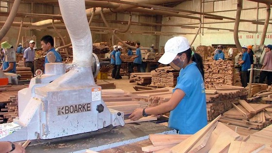 Mũi nhọn xuất khẩu với nỗi lo đầu vào ảnh 1