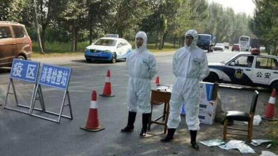Thế giới đối phó dịch tả heo châu Phi ảnh 1