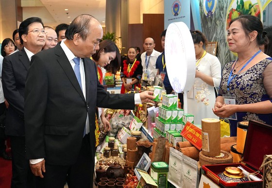Đổi mới, nâng cao hiệu quả kinh tế tập thể ảnh 1