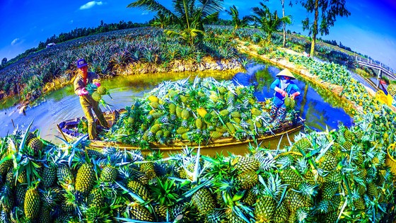 Xây dựng thương hiệu một Hậu Giang thân thiện ảnh 2