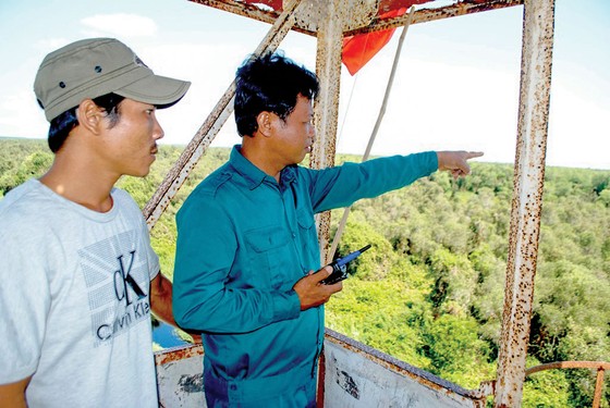 Dốc sức bảo vệ rừng mùa khô ảnh 1