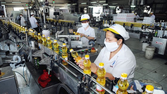 Hai giai đoạn thực hiện gói kích thích kinh tế ảnh 1