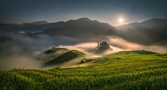 Nhịp sống yên bình ảnh 2