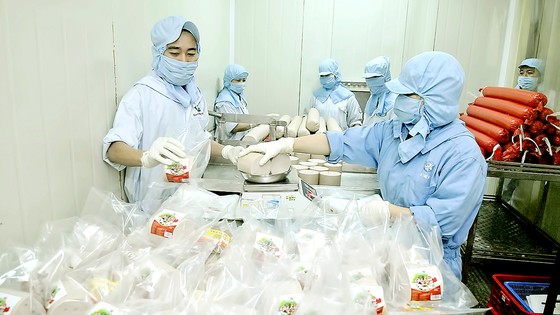 Kinh tế TPHCM đang phục hồi ảnh 1