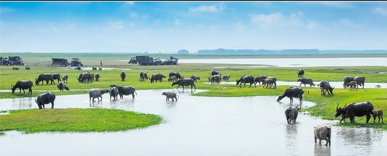 Đổi gió cuối tuần ở Tây Ninh, đừng quên check-in những địa điểm nổi tiếng này ảnh 6