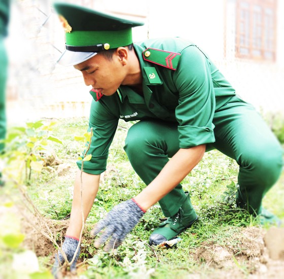 Xanh mãi Cù Lao Xanh ảnh 3
