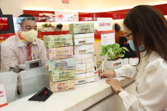 HDBank và Proparco dành 50 triệu USD phát triển các dự án xanh tại Việt Nam ảnh 1