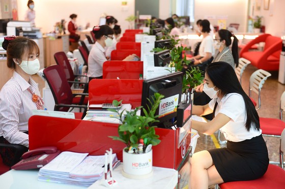 HDBank và Proparco dành 50 triệu USD phát triển các dự án xanh tại Việt Nam ảnh 2