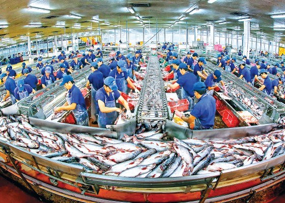 Khoảnh khắc vàng 2018 ảnh 8