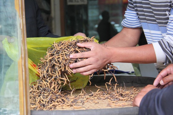 Thật - giả “tiên dược” đông trùng hạ thảo - Bài 2: Chi tiền tỷ mua... niềm tin ảnh 1
