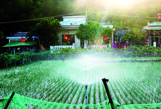 Đặc sản miền biên viễn ảnh 3