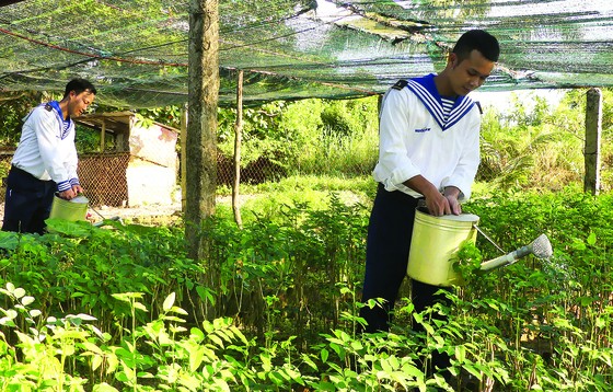 Sức sống đảo tiền tiêu ảnh 2