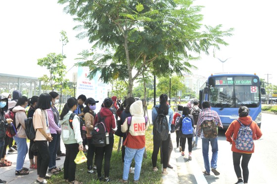 Hoạt động xe buýt ngày càng 'èo uột' ảnh 2