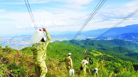 Nhọc nhằn đời thợ ảnh 2