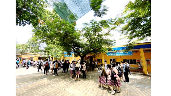 Đừng chặt hạ, mà hãy chăm chút cây xanh an toàn ảnh 1