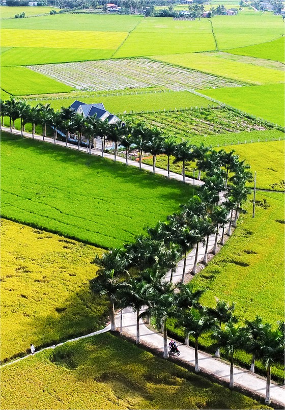 Xây dựng nông thôn mới với khí thế mới ảnh 2