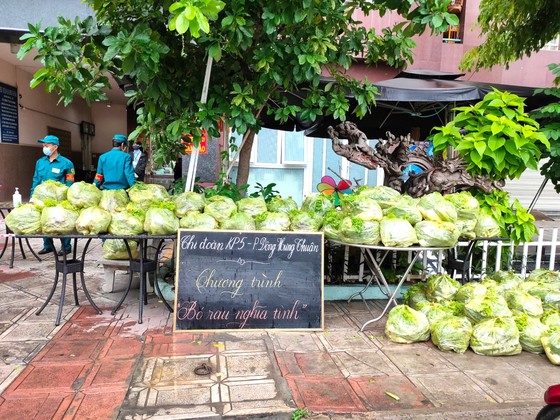 Khi thành phố tôi đồng lòng ảnh 1