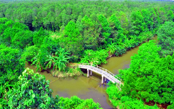 Năng động trên đường phát triển ảnh 1