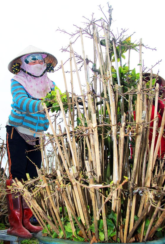 Vùng đất trăm nghề ảnh 7