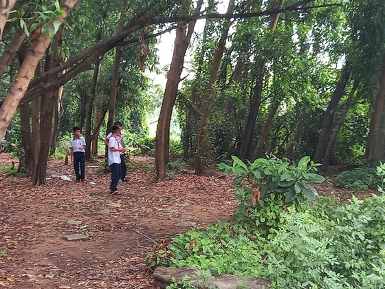 Khổ với công viên bị 'treo' ảnh 1