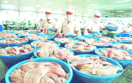 Nâng chuẩn hàng Việt, đón đầu cơ hội ảnh 1