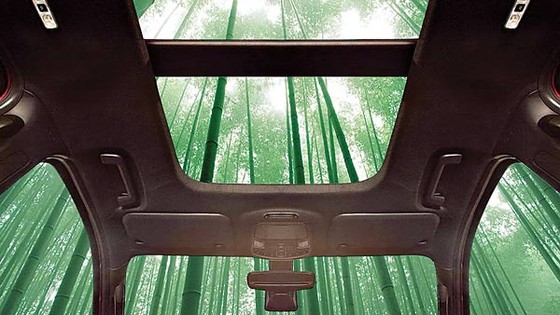 Ford và xu hướng sử dụng vật liệu xanh trong sản xuất ô tô ảnh 1