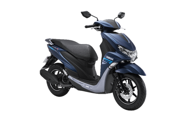 Công ty Yamaha Motor Việt Nam chính thức giới thiệu mẫu xe tay ga FreeGo 125cc với thông điệp “Thỏa chí tung hoành”. ảnh 2