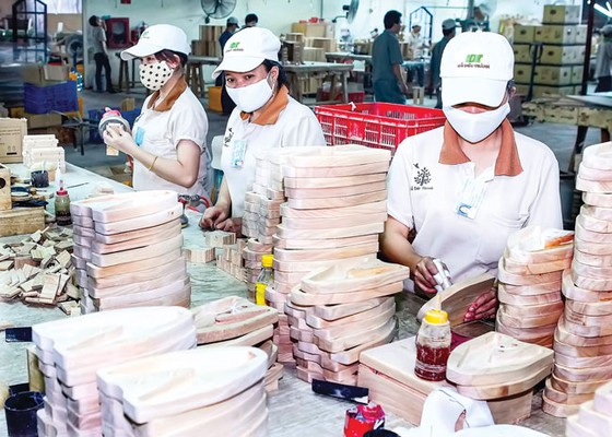 Bảo lãnh tín dụng chờ luật hỗ trợ ảnh 1