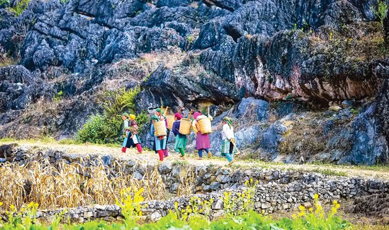 Khoảnh khắc sắc màu Hà Giang ảnh 5