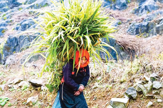 Khoảnh khắc sắc màu Hà Giang ảnh 6