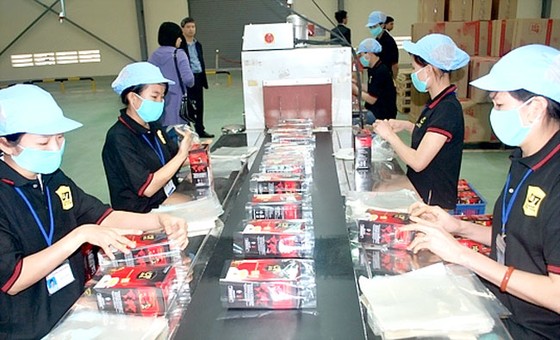 Không nên tận thu bằng VAT ảnh 1