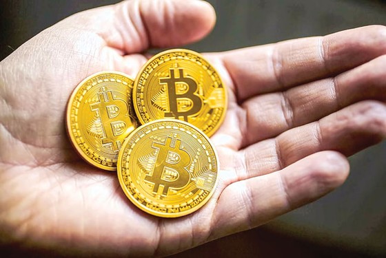 Tìm giải pháp quản lý Bitcoin ảnh 1