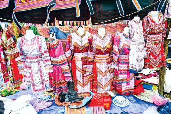 Khoe sắc nơi phố thị ảnh 7
