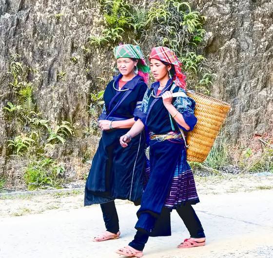 Khoe sắc nơi phố thị ảnh 4