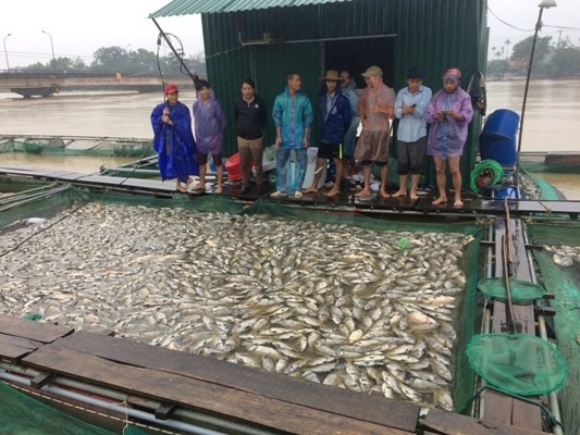 Nước mắt bên sông Bồ ảnh 4
