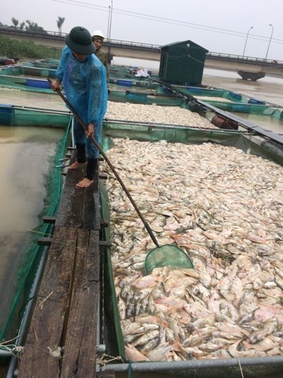 Nước mắt bên sông Bồ ảnh 5
