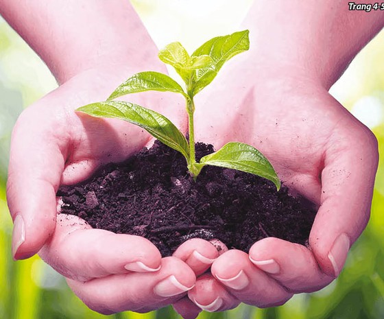 Sản xuất nông nghiệp hữu cơ: Đón xu đầu xu thế tiêu dùng bùng nổ ảnh 1
