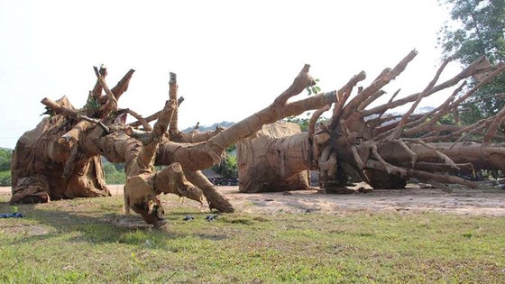 Thú chơi gây hại môi trường ảnh 1