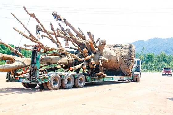 Bí ẩn xe xe “quái thú” ảnh 1
