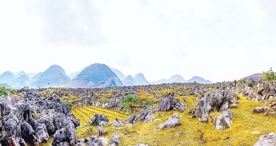Cao nguyên đá tai mèo ở Điện Biên ảnh 3