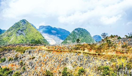 Cao nguyên đá tai mèo ở Điện Biên ảnh 4