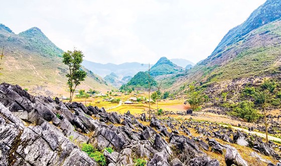 Cao nguyên đá tai mèo ở Điện Biên ảnh 6