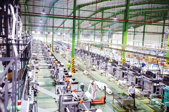 Điều tra CBPG và CTC với túi đóng hàng: AAA không bị ảnh hưởng ảnh 1